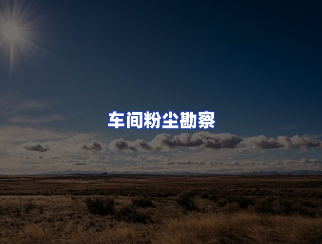 专业团队